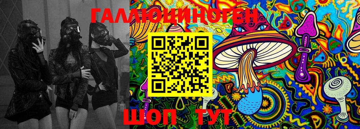 Камышин  Псилоцибиновые грибы Psilocybine cubensis  Вход с VPN 