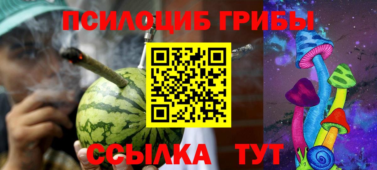 Галлюциногенные грибы Cubensis Камышин